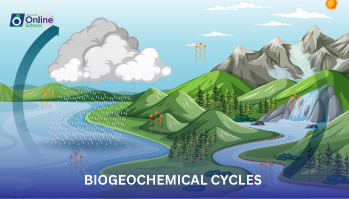 Lesson 09: Biogeochemical Cycles
